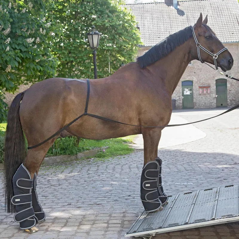 Waldhausen Shipping Aid